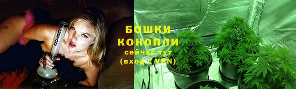 стафф Лагань