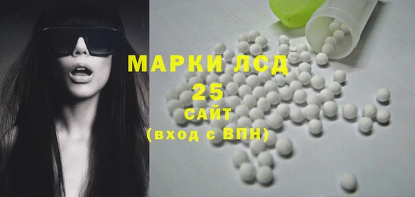 PSILOCYBIN Лабытнанги