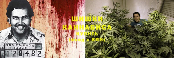 твердый Ладушкин