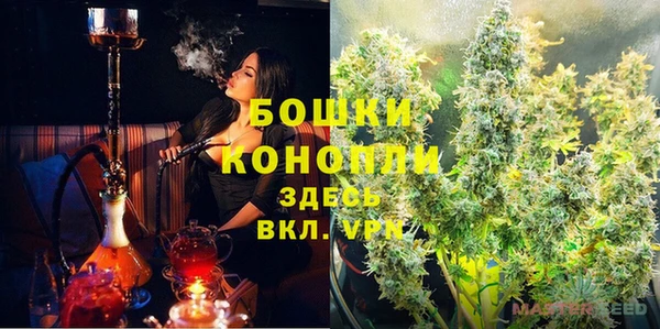 PSILOCYBIN Лабытнанги