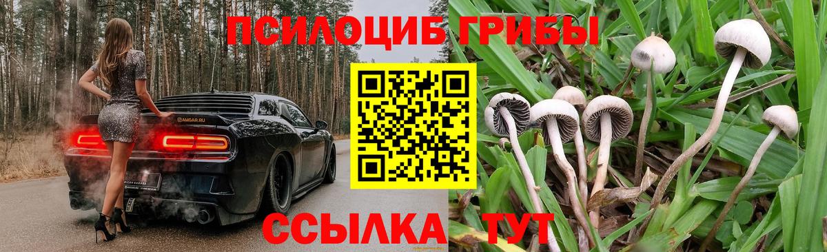 Галлюциногенные грибы Cubensis  Вход с VPN  Михайловка 