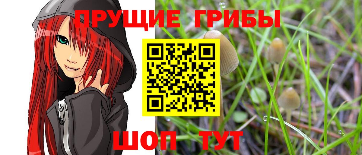 Псилоцибиновые грибы GOLDEN TEACHER Михайловка